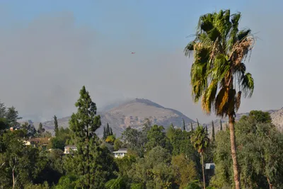 DSC_5601 (Large).JPG